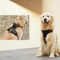 SecureFit No-Pull Dog Harness