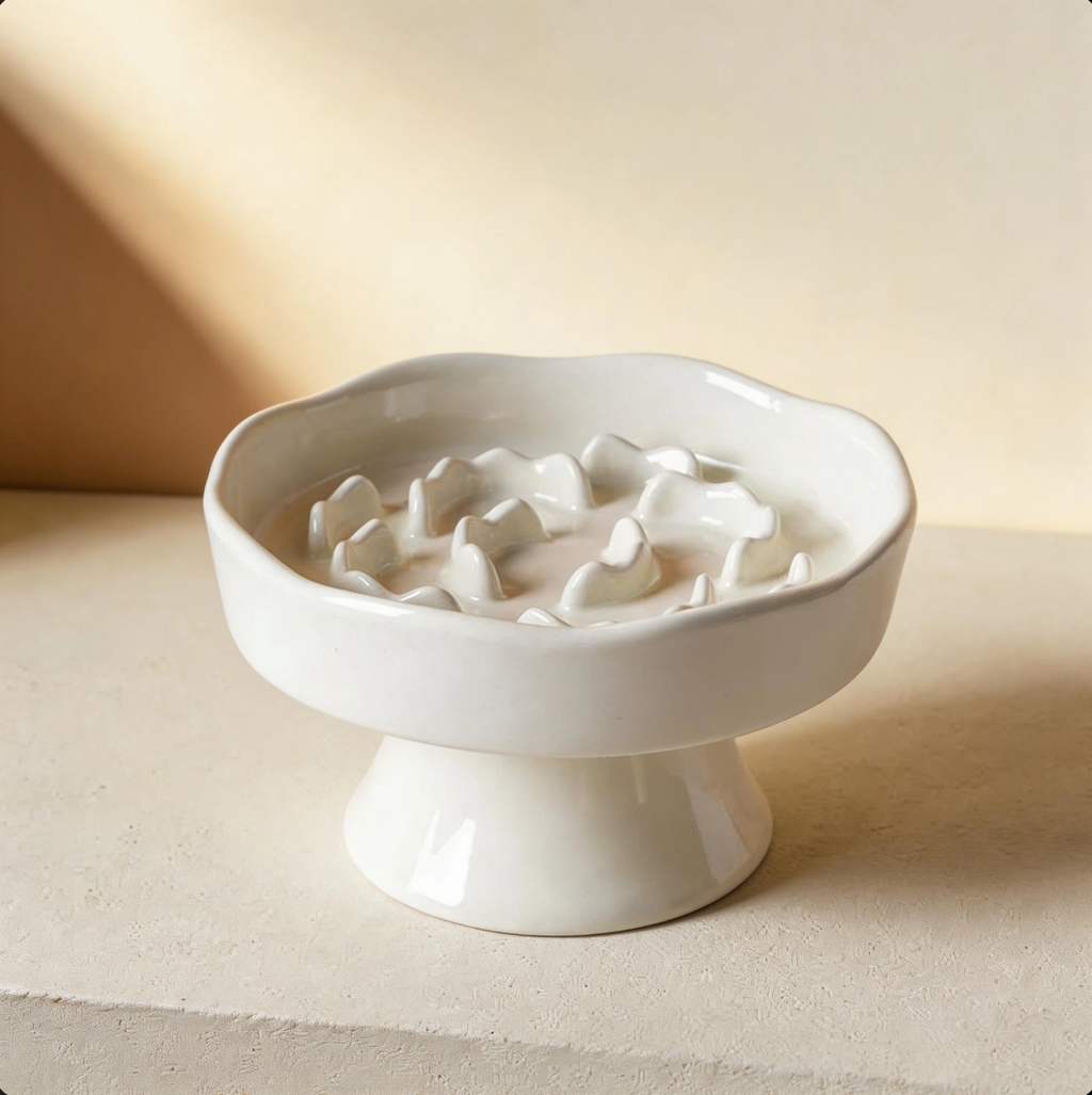Slow Feeder Dog Bowl