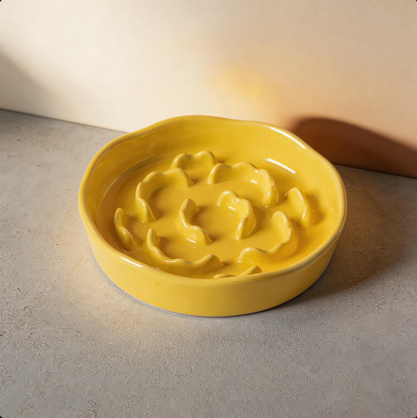 Slow Feeder Dog Bowl