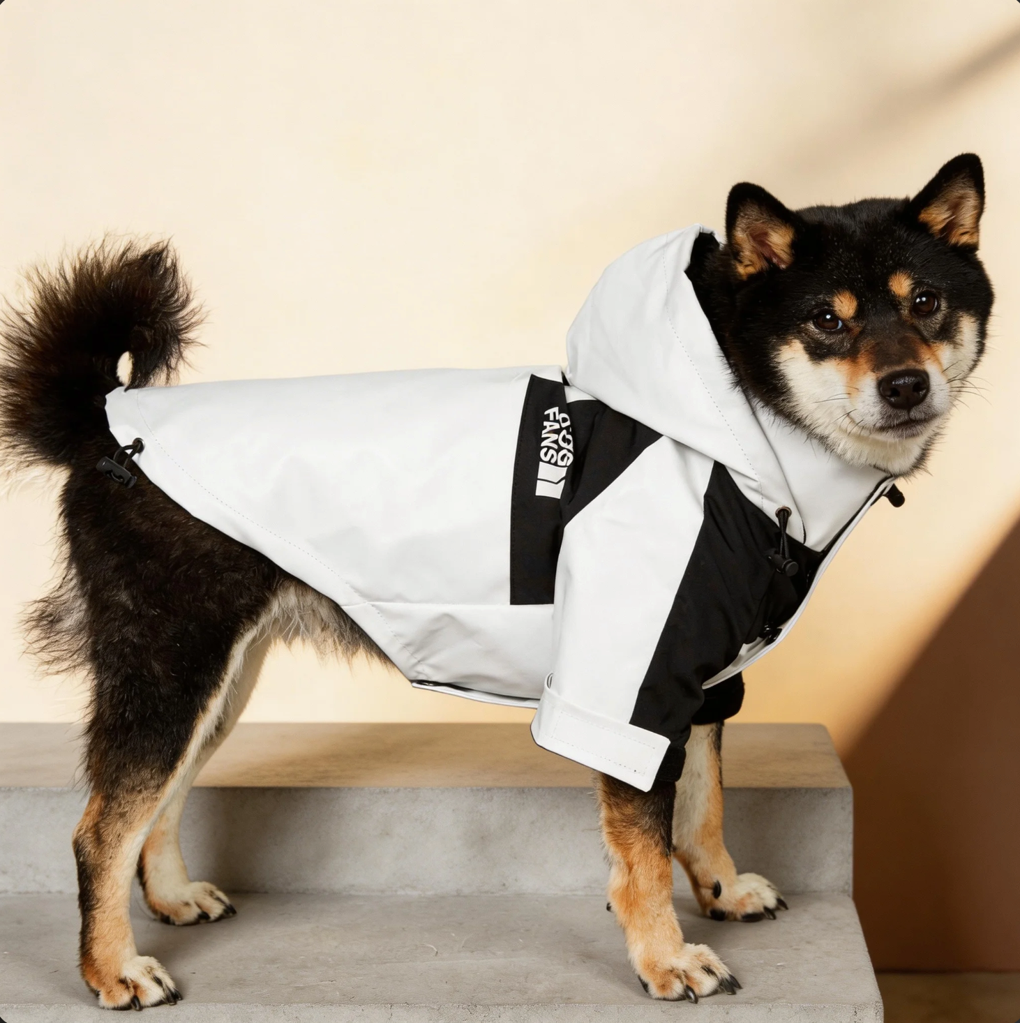 Dogface All-Weather Dog Jacket