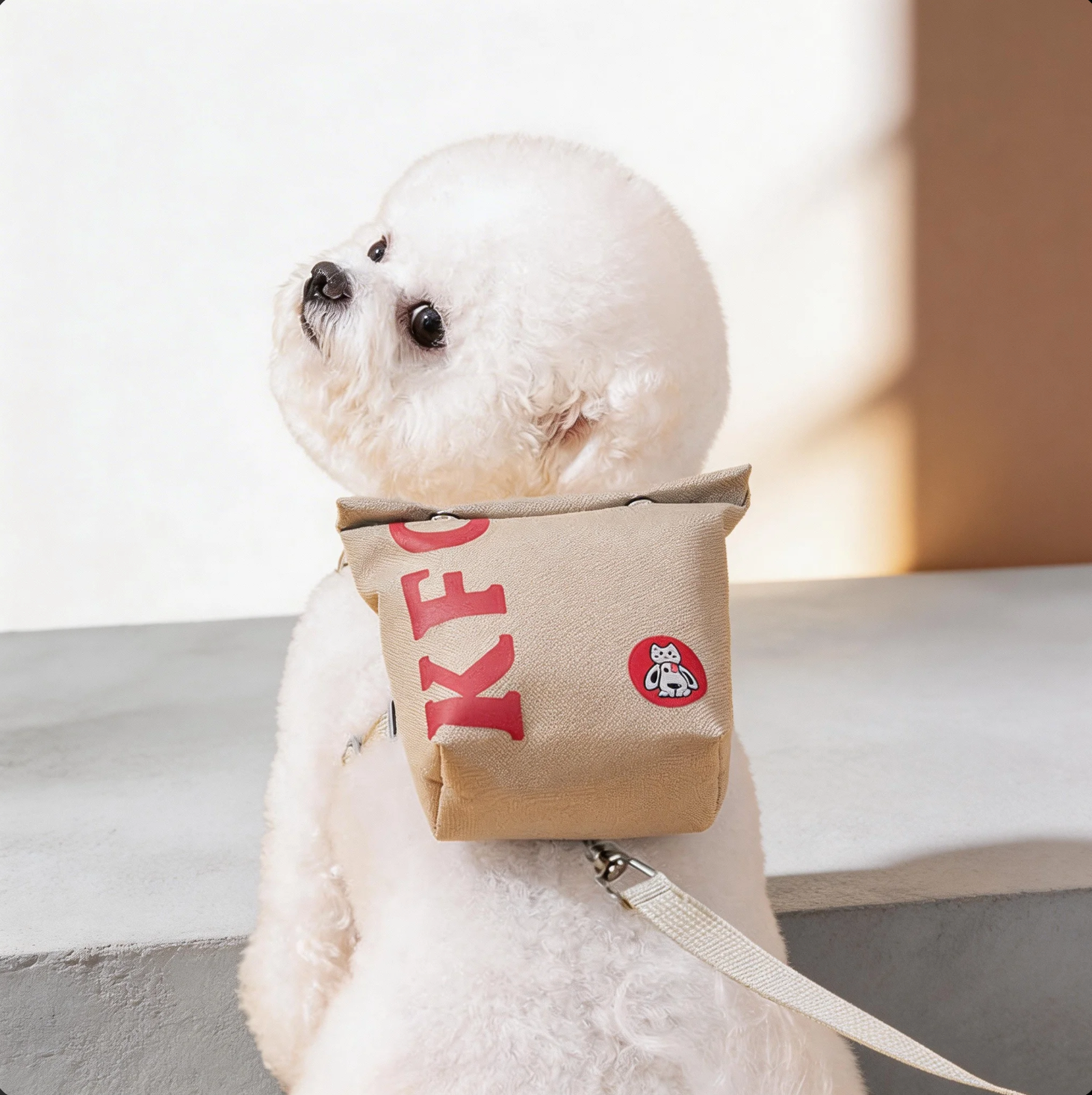 KFC Style Pet Backpack